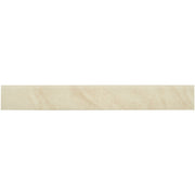 Geostone Grey Sockel mit Rundkante 8 x 60 x 1 cm - FliesenExpress - Fliesen Sockel Günstig Kaufen!_8435213678999