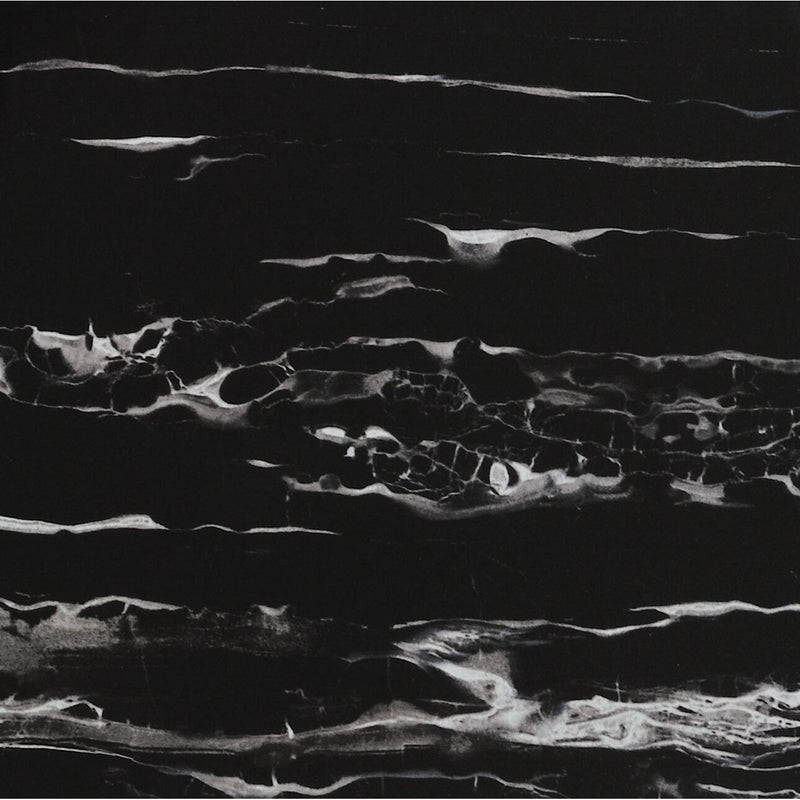 Feinsteinzeug Evolution Nero Aparro 60x60cm - FliesenExpress - Fliesen günstig kaufen_4330542085866