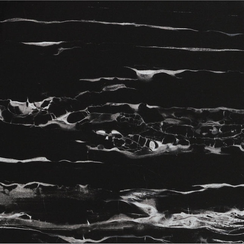 Feinsteinzeug Evolution Nero Aparro 60x60cm - FliesenExpress - Fliesen günstig kaufen_4330542085866