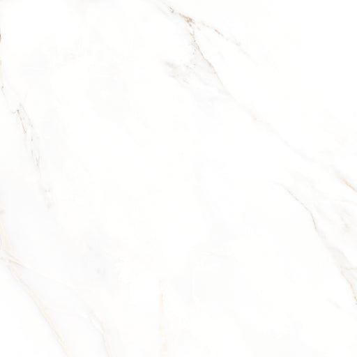 Feinsteinzeug Premium Marble Calacatta 58x58cm - FliesenDeal24 - Fliesen günstig kaufen