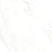 Feinsteinzeug Premium Marble Calacatta 58x58cm - FliesenDeal24 - Fliesen günstig kaufen