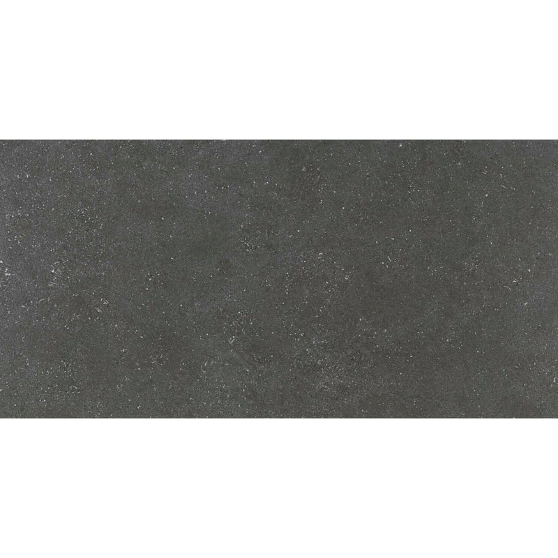 Alpen Graphit Matt 60x120x1cm - FliesenExpress - Fliesen Günstig Kaufen_8435213688509