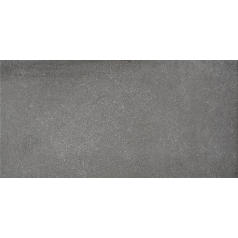 Minerva Grigio 40x80cm - Fliese günstig kaufen!