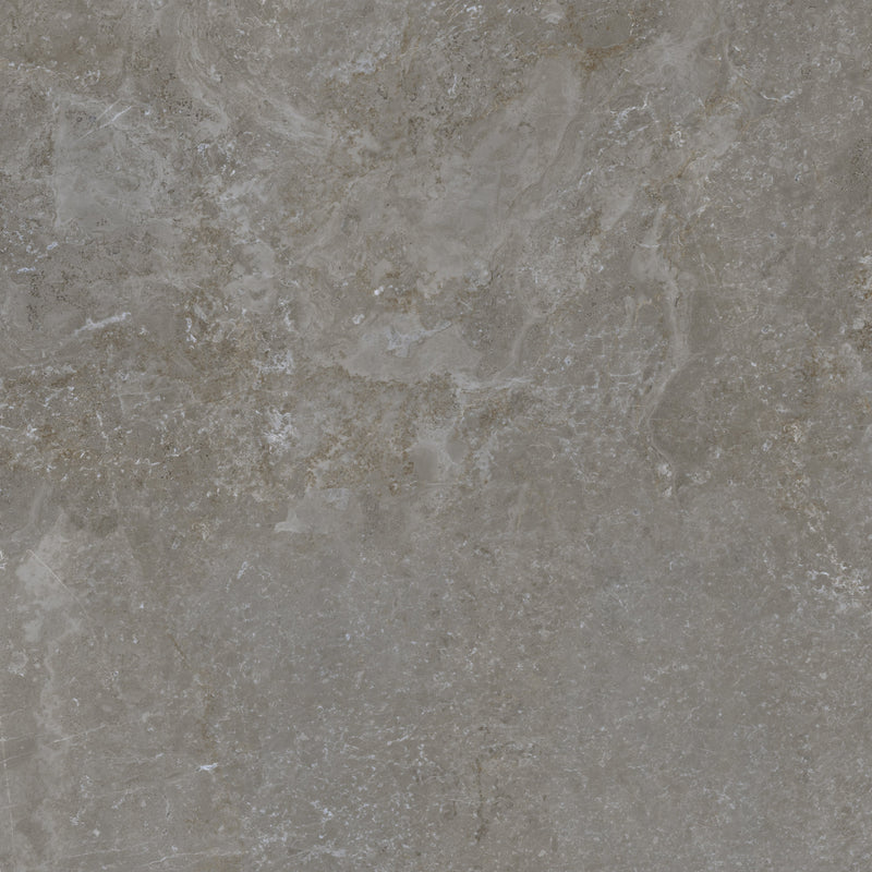 Rud Grey 4031 Poliert 60x60x1cm - FliesenExpress - Fliesen Günstig Kaufen_4330542093373