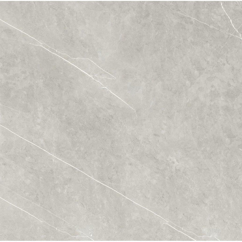 Ciana Grey Poliert 60x60x0,95cm - FliesenExpress - Fliesen Günstig Kaufen_4330542093830