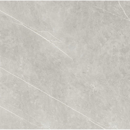 Ciana Grey Poliert 60x60x0,95cm - FliesenExpress - Fliesen Günstig Kaufen_4330542093830